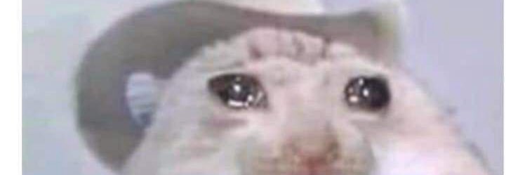 MoiTheRED's profile banner image