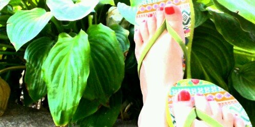 Lourdes_VL's profile banner image