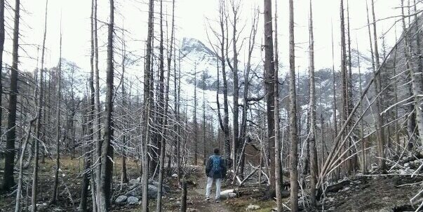 Richard Anderson banner