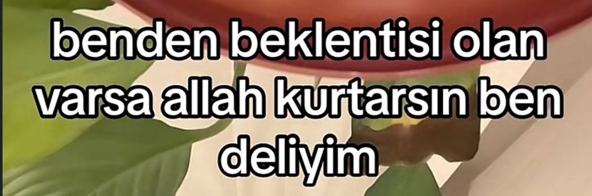 ebruttaspinar's profile banner image