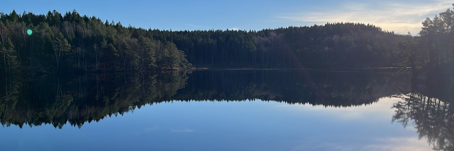 Ulf Andersson banner
