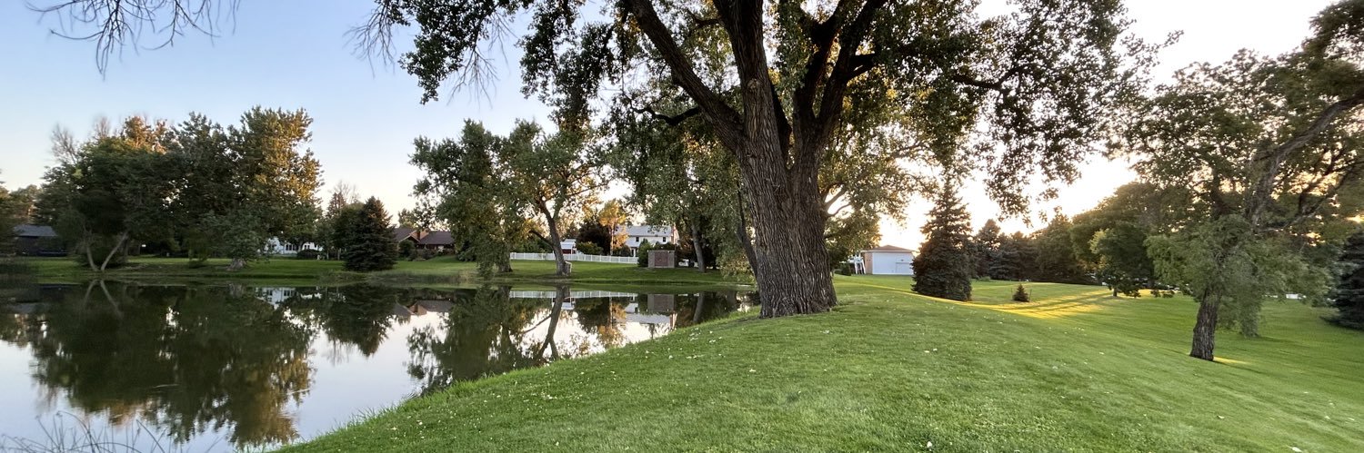 Anne Giles Delaney banner