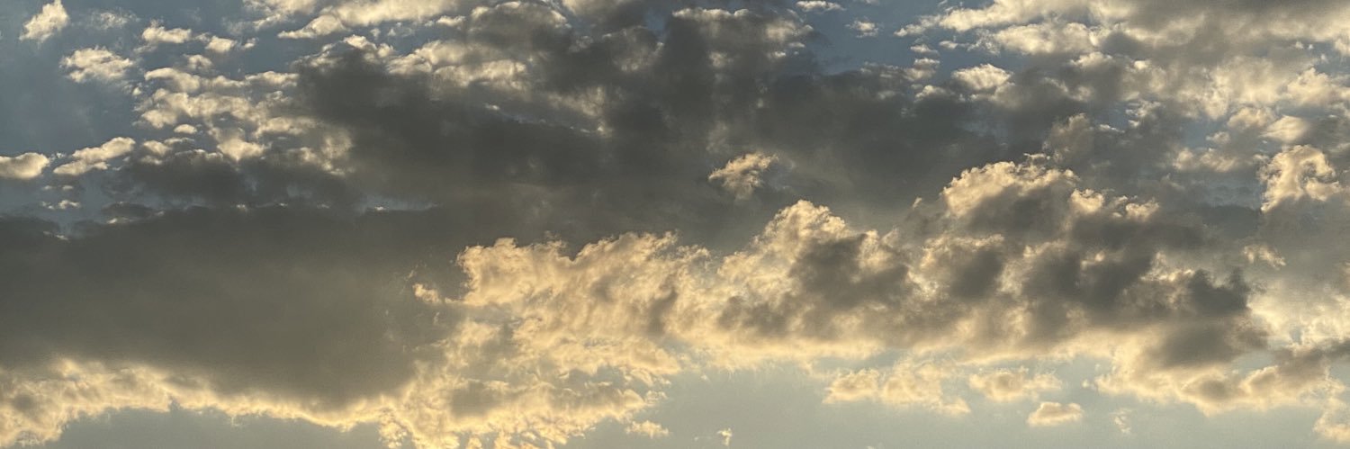 jessvalso's profile banner image