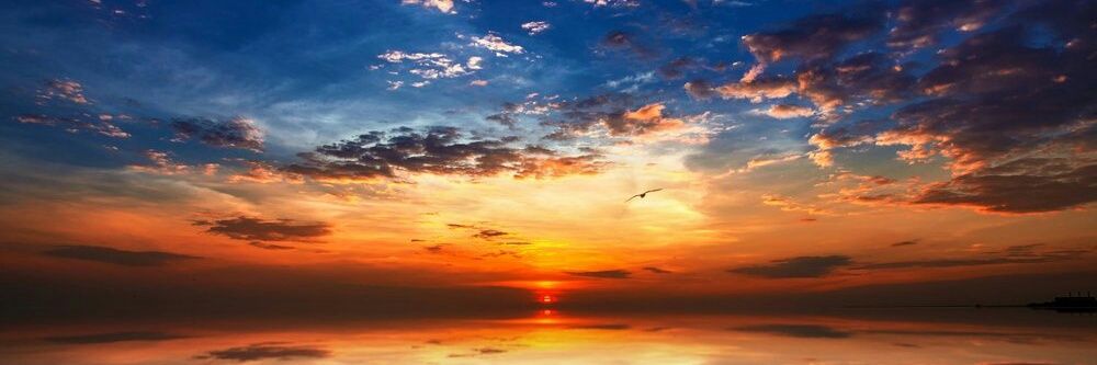 Rafael Pérez banner