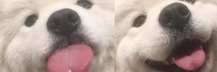 reneserna's profile banner image