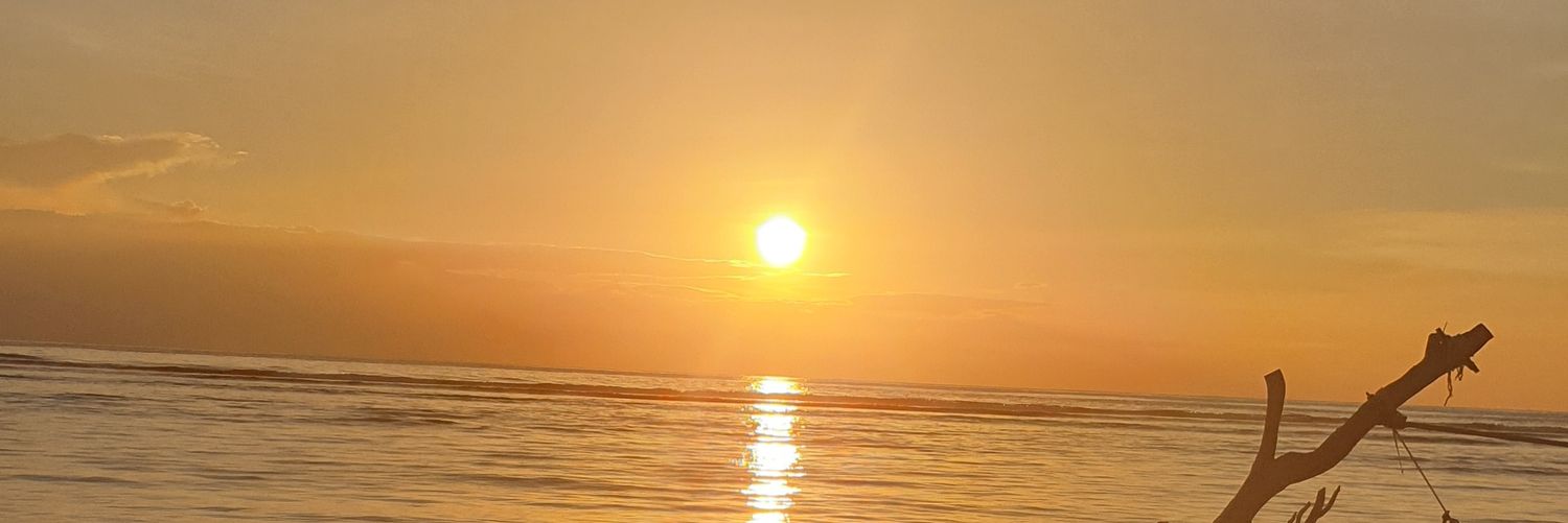 jessicaefitz's profile banner image