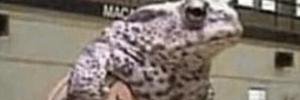 fabrules5's profile banner image