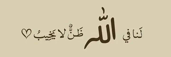 DoDo🌸🩷 banner