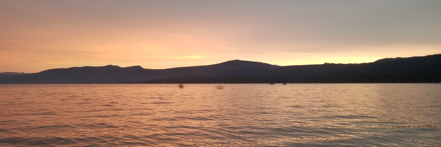 Wade Tyler Millward banner