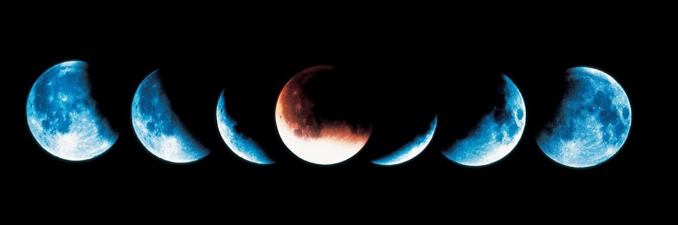 MJwolfie18's profile banner image