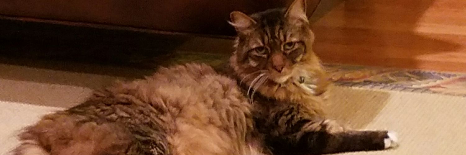 moldibug's profile banner image
