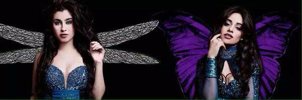 foIIowdmshelp's profile banner image