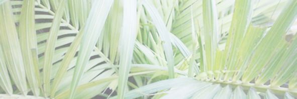 BellaIrvineSH's profile banner image