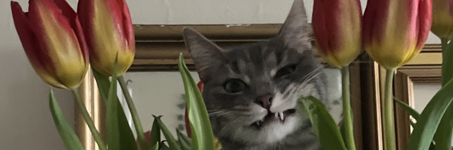 ieatbugssss's profile banner image