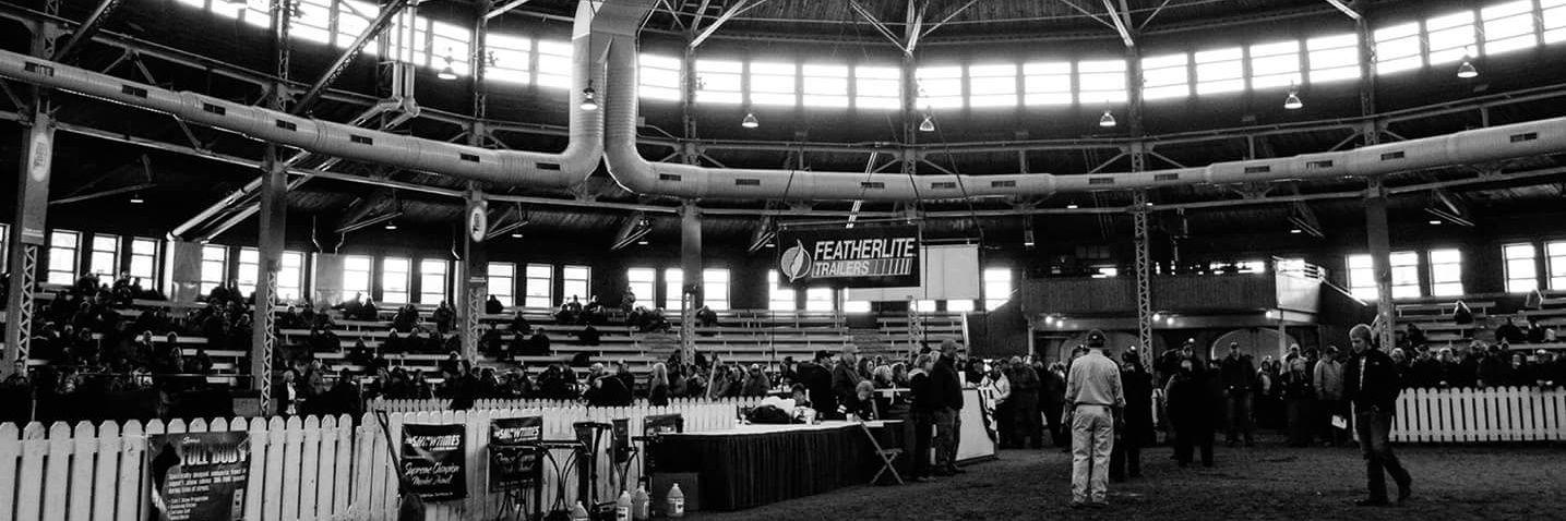 SarahLenz2's profile banner image