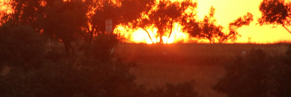 alebaena_95's profile banner image