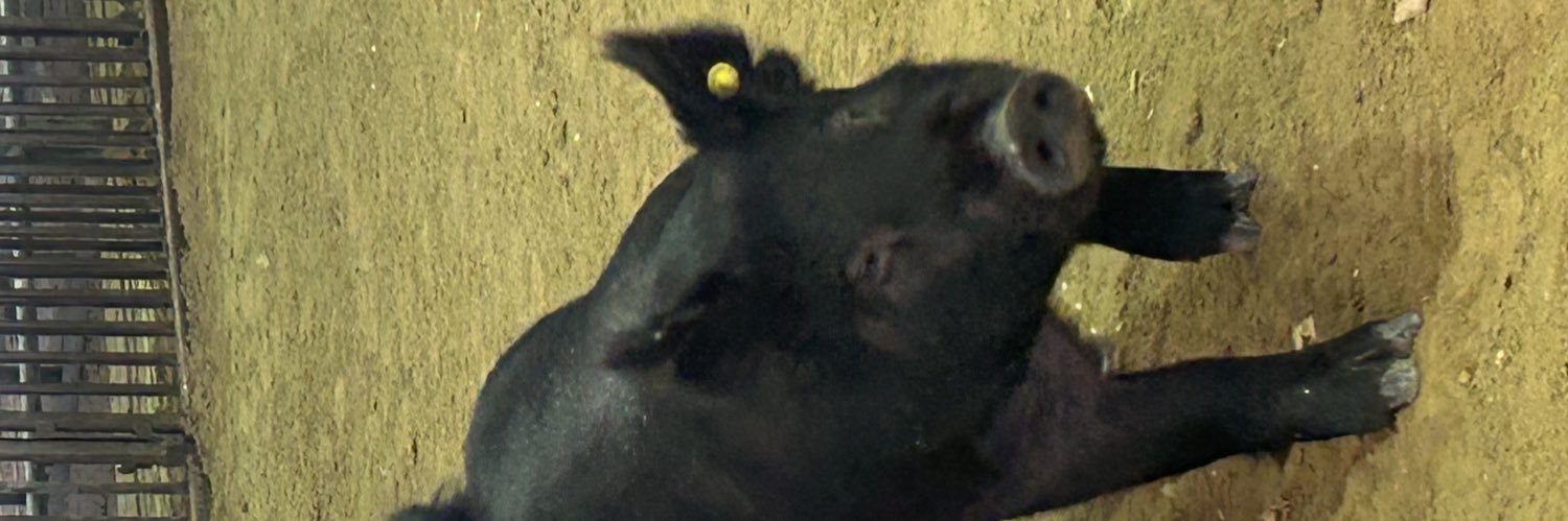XAXC123's profile banner image