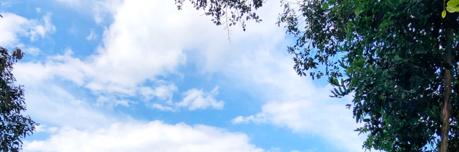Oresnat's profile banner image