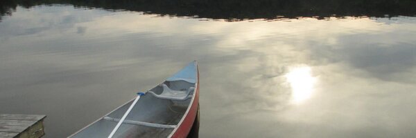 Swiftstories Profile Banner
