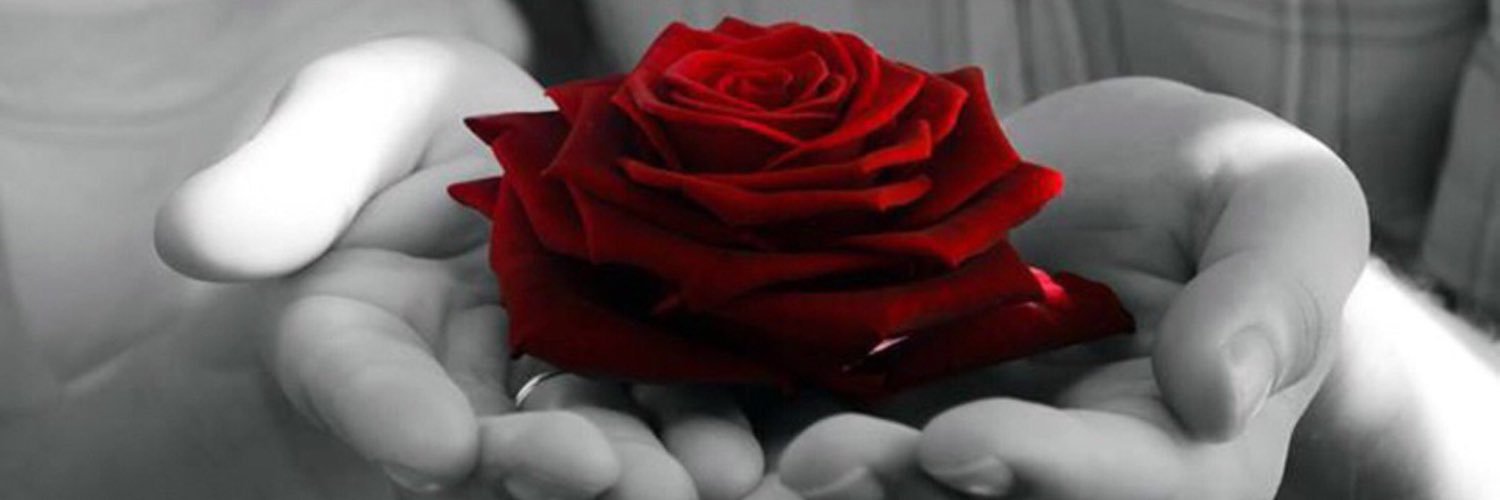 ccusasoldier's profile banner image