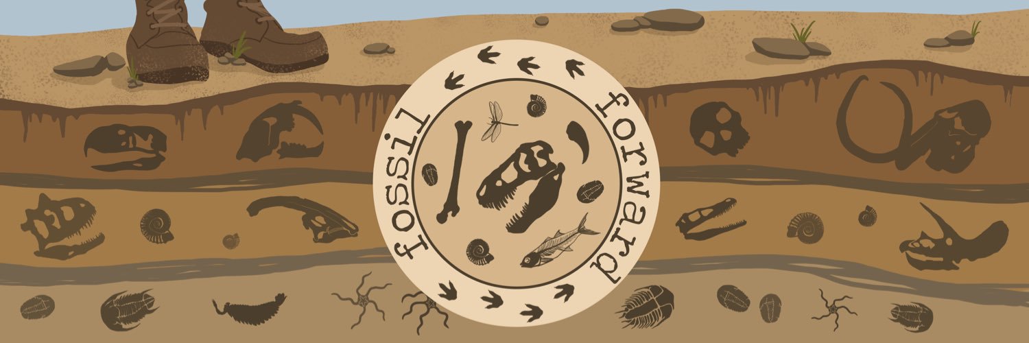 FossilForward's profile banner image