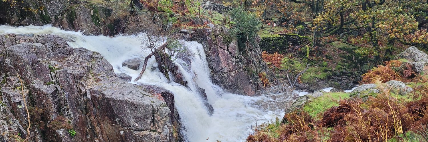 Xmarksthespot banner