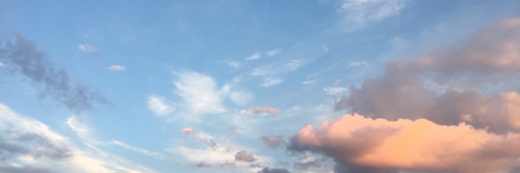 alexisshea13's profile banner image