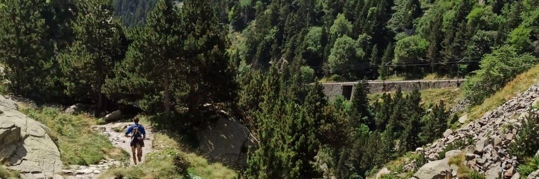 Sergi Medina banner