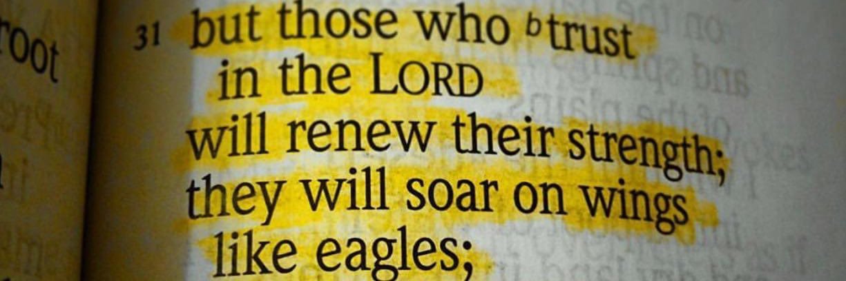 Michelle Lowe banner