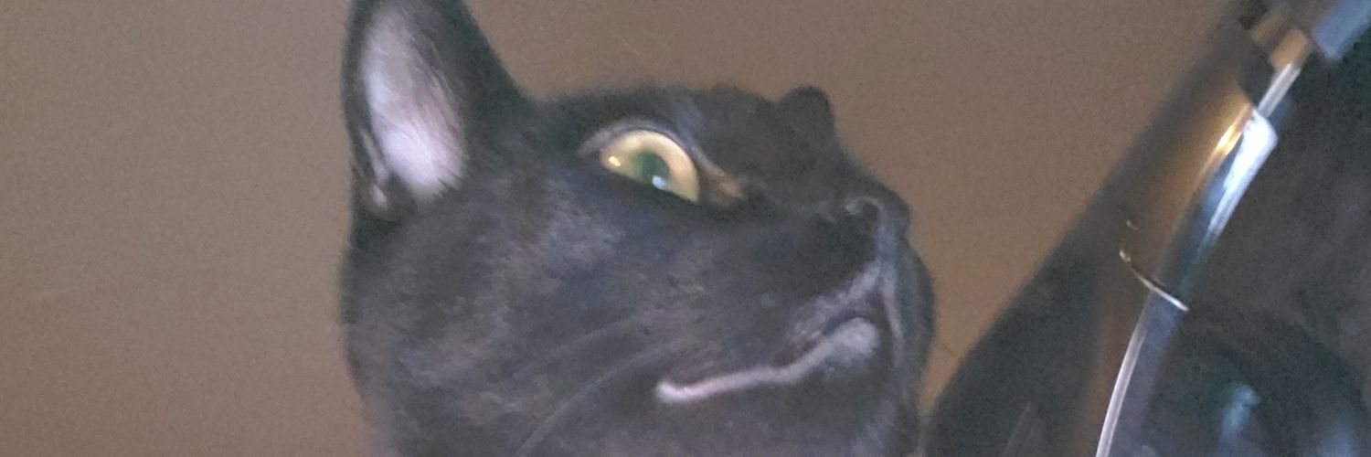 Infam0usZero's profile banner image