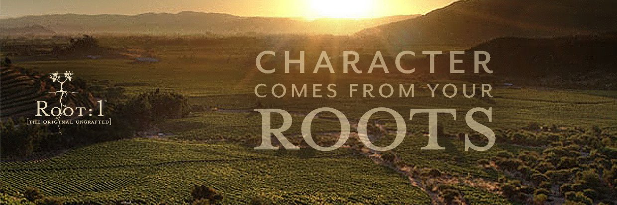 Root1Wine's profile banner image