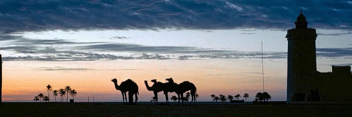 امبارك القبيسي's banner