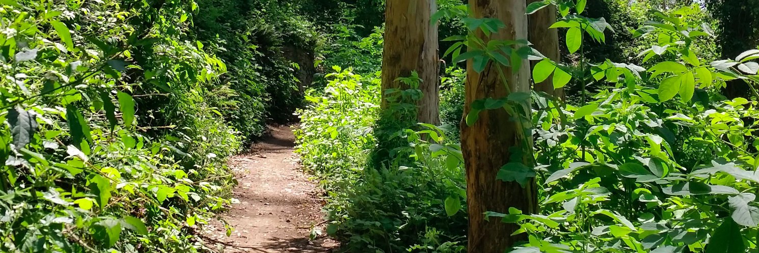 Sutro Stewards banner