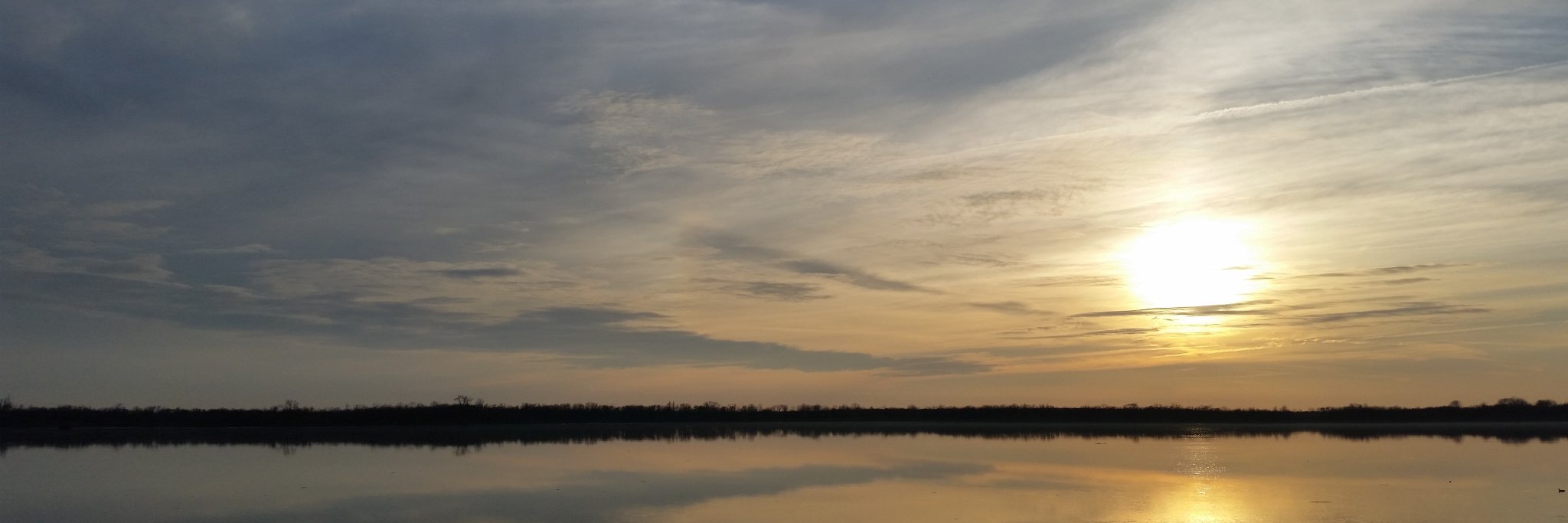 rogerwaggener's profile banner image