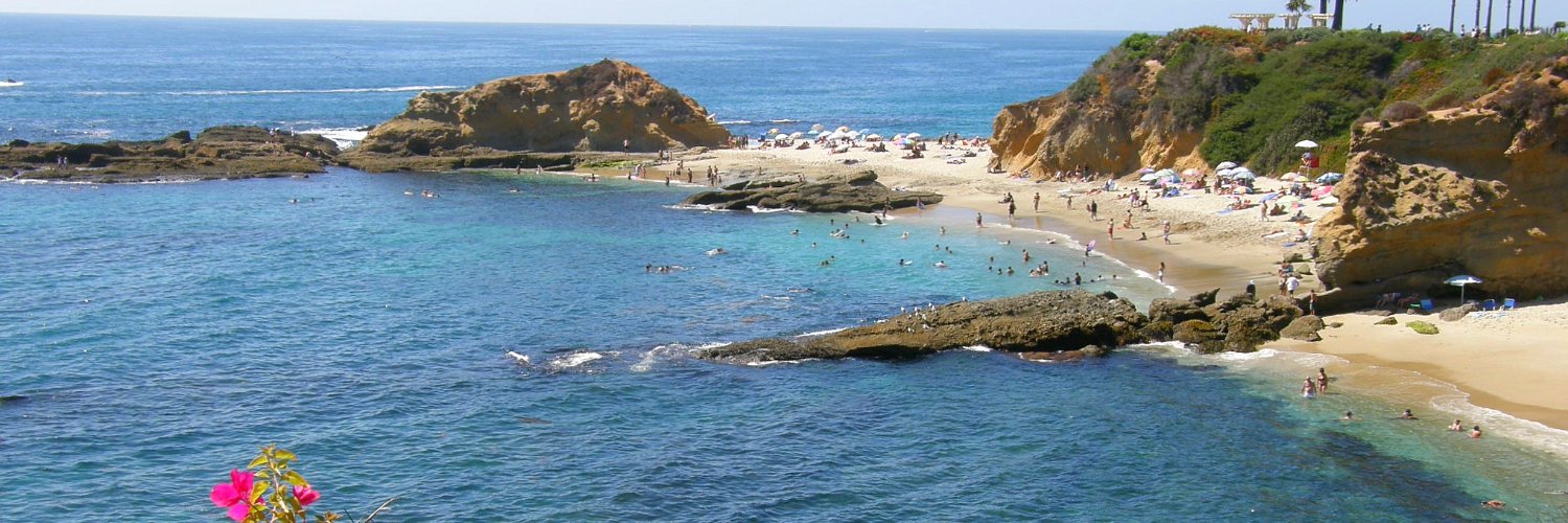 Rhonda Quaranta banner