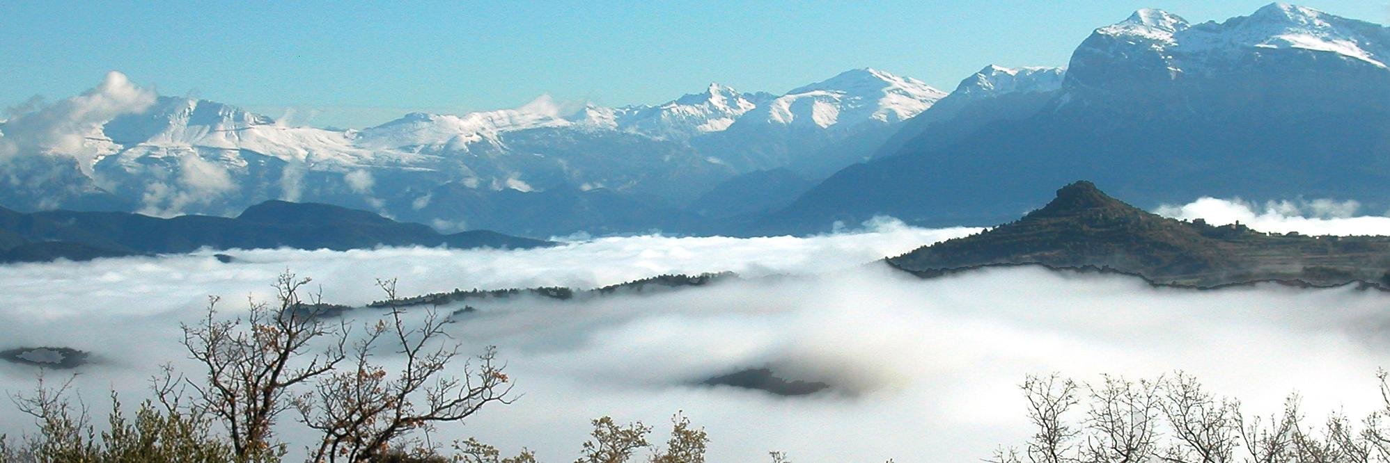 OsoCaverna's profile banner image