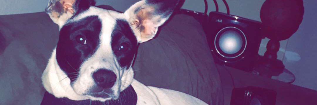 BossLaydee_D's profile banner image