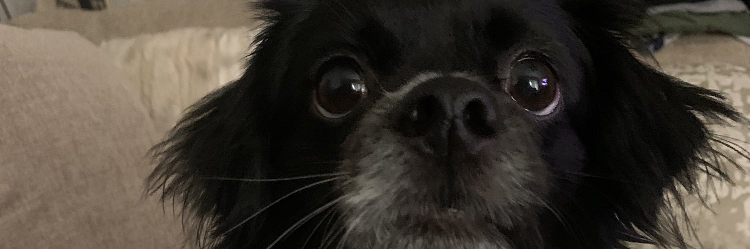 jamiiegaiil's profile banner image