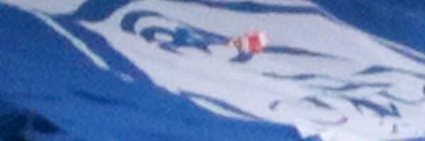 mja_owl Profile Banner