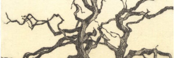 JulesHolroyd Profile Banner