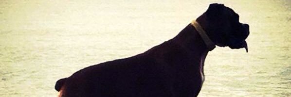 DamiansusCs's profile banner image
