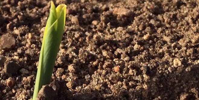 Marty Lovrien banner