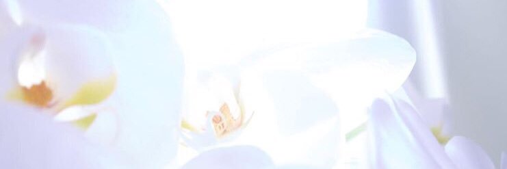 a i r i banner