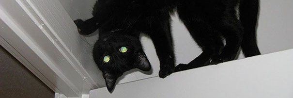 mjesusbe's profile banner image