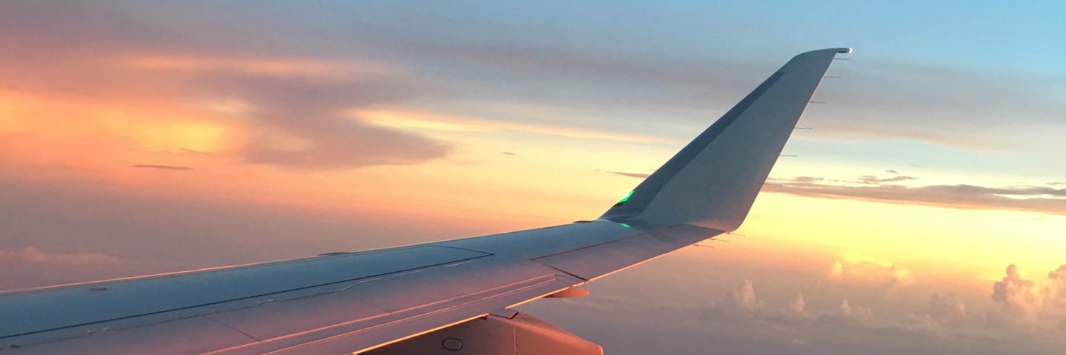 virtuallyvivi's profile banner image