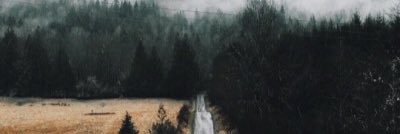 tacetnox's profile banner image