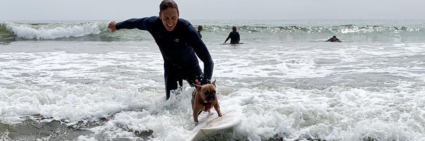 tay_somerville's profile banner image