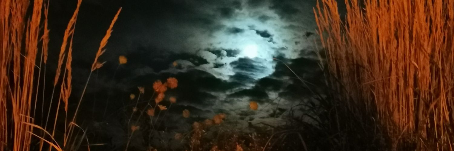 YvE_36's profile banner image