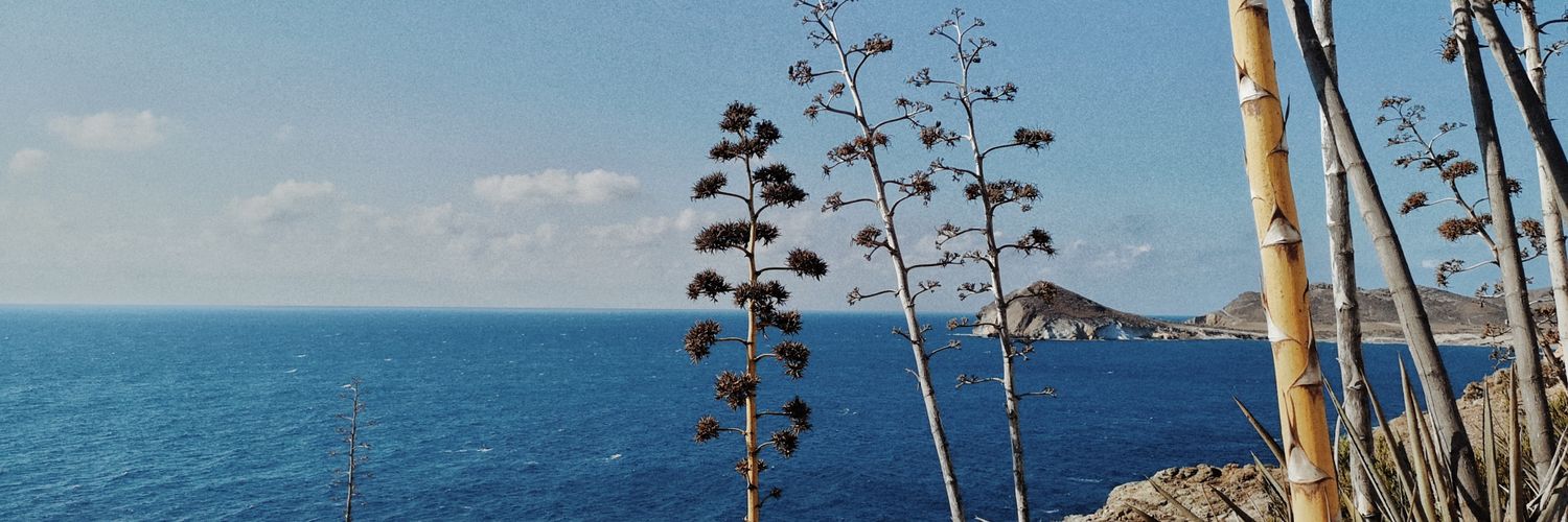 Celia_AM's profile banner image
