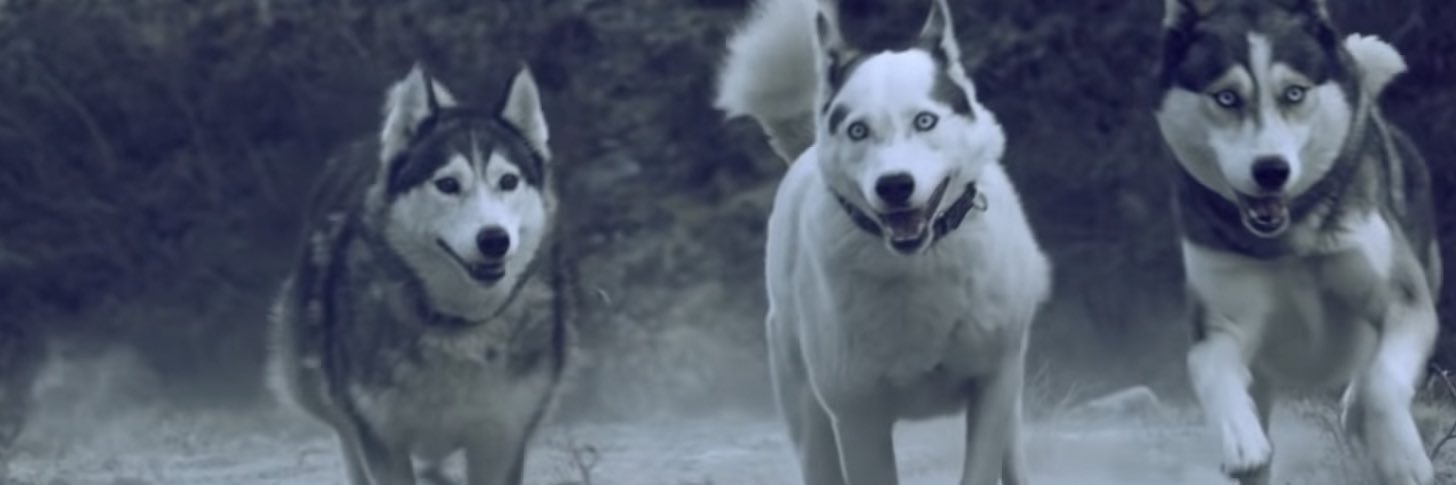 Baggermist's profile banner image